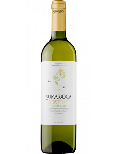 Sumarroca vino blanco Nostrat Blanc De Blancs