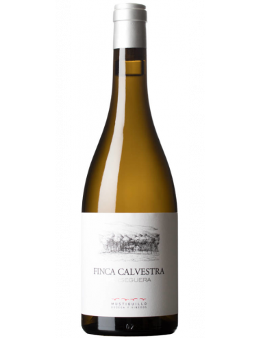 Mustiguillo white wine Finca Calvestra 2020